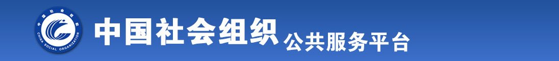 日逼9网全国社会组织信息查询